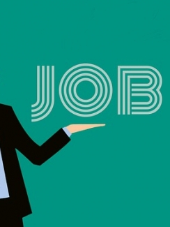 OFFRE D' EMPLOI SITE