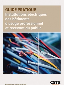 Installations électriques des bâtiments à usage professionnel et recevant du public