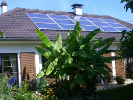 PPE de la Martinique