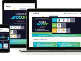 Cedeo Boost