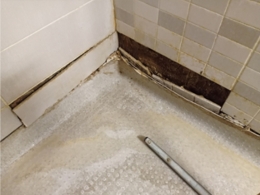 Qu’est-ce qui cloche dans les douches ?
